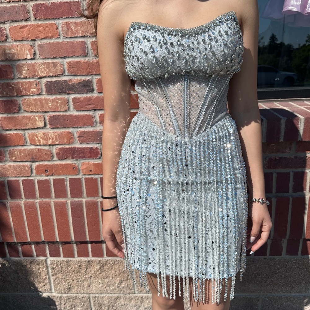 Elegant Silver Fringe Embellished Sequin Dress
